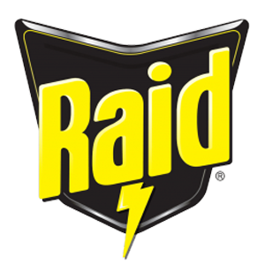 Raid
