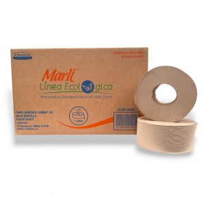 PAPEL HIG. ECOLOGICO JR 300 MTS C/12 PZ